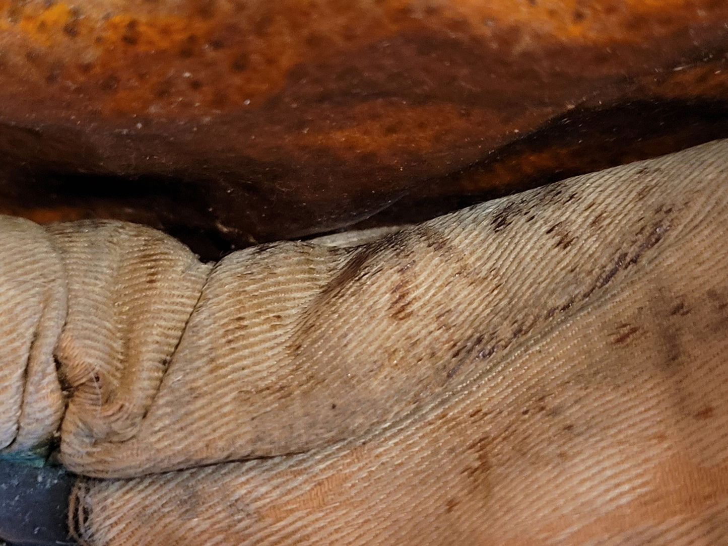 WW1 CEF Officer's Service Dress Cap, Machine Gun Corps