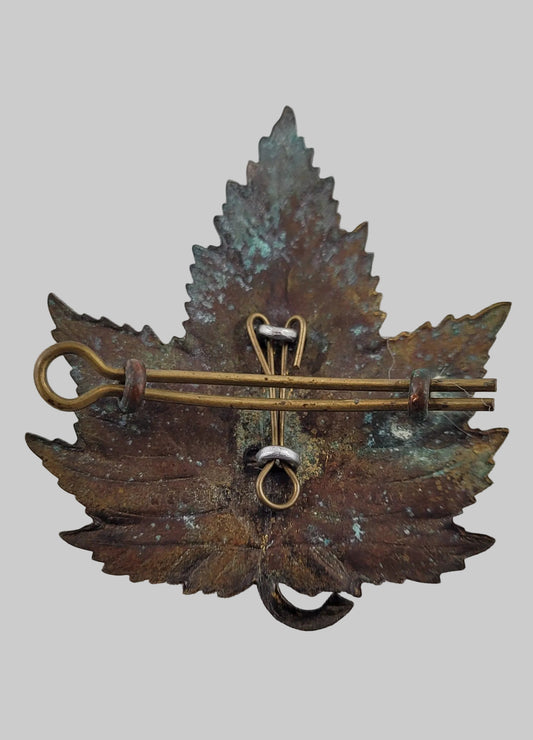 Canadian Police Beaver Badge obverse