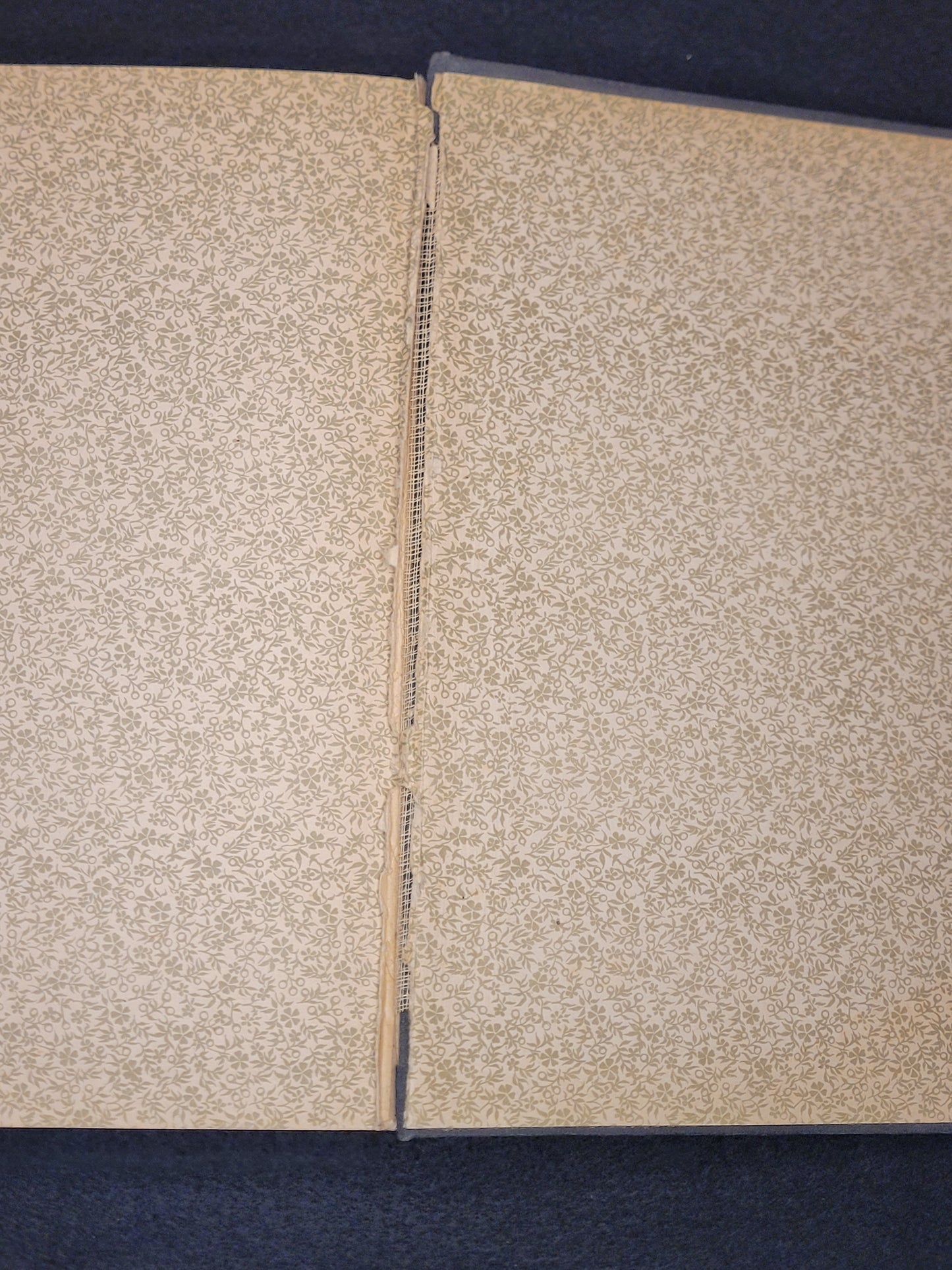 WW1 Book "The People's War Book, Autographed Edition" 1919