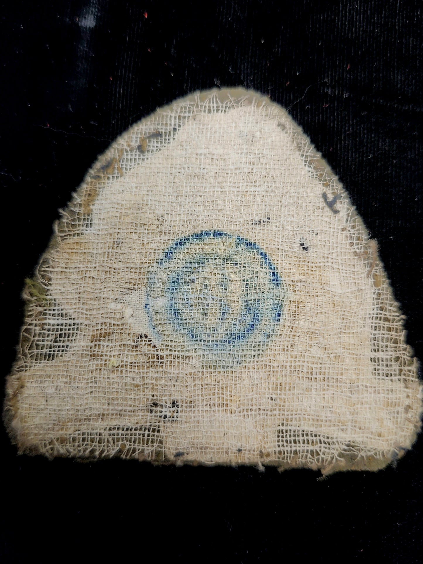 WO 1st Class Insignia