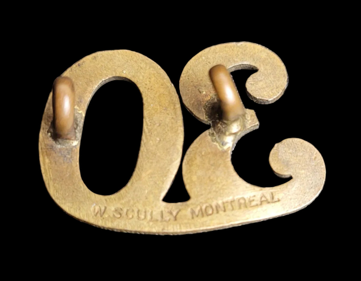30th Wellington Rifles shoulder title numeral militia 1