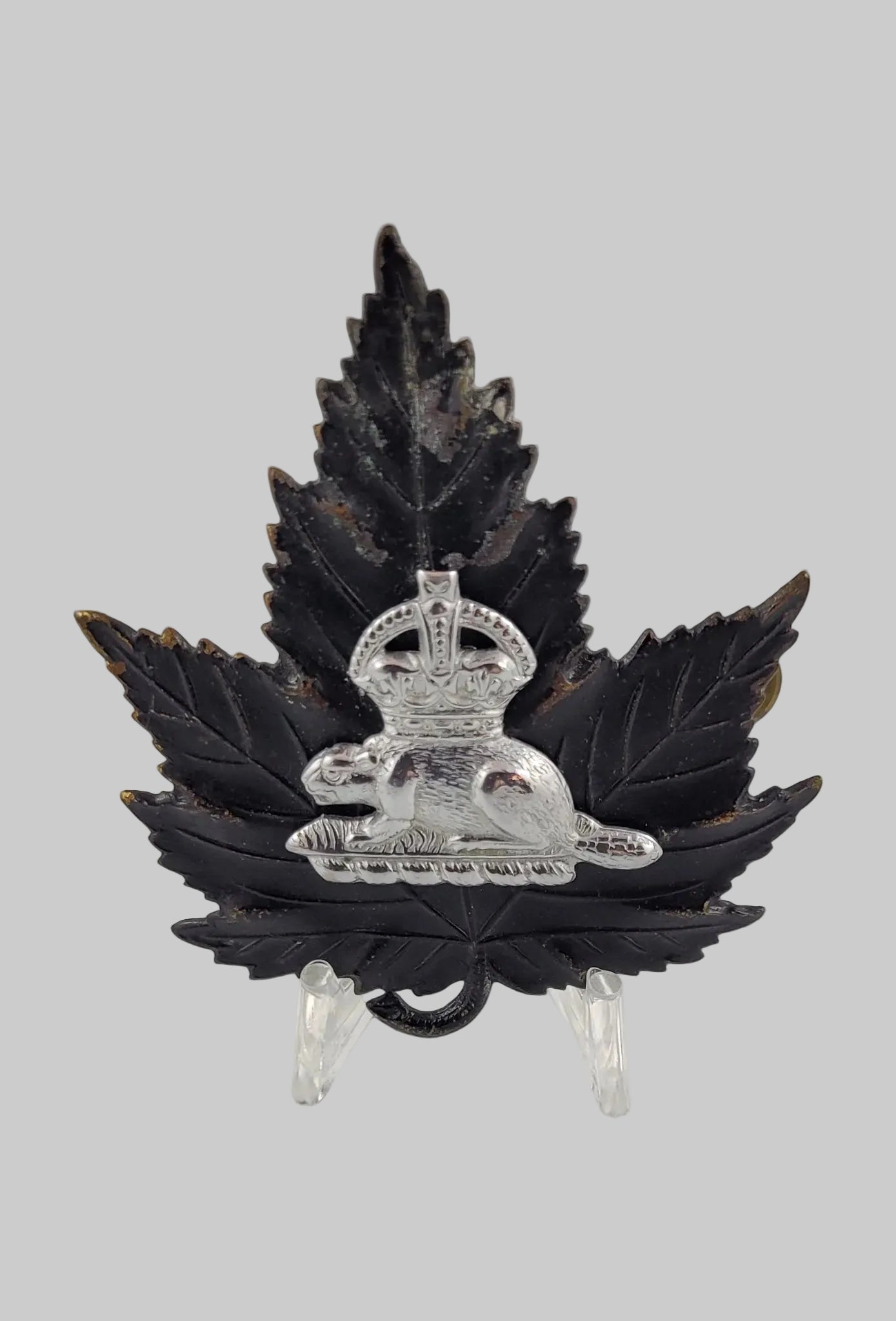 Canadian Police Beaver Badge2
