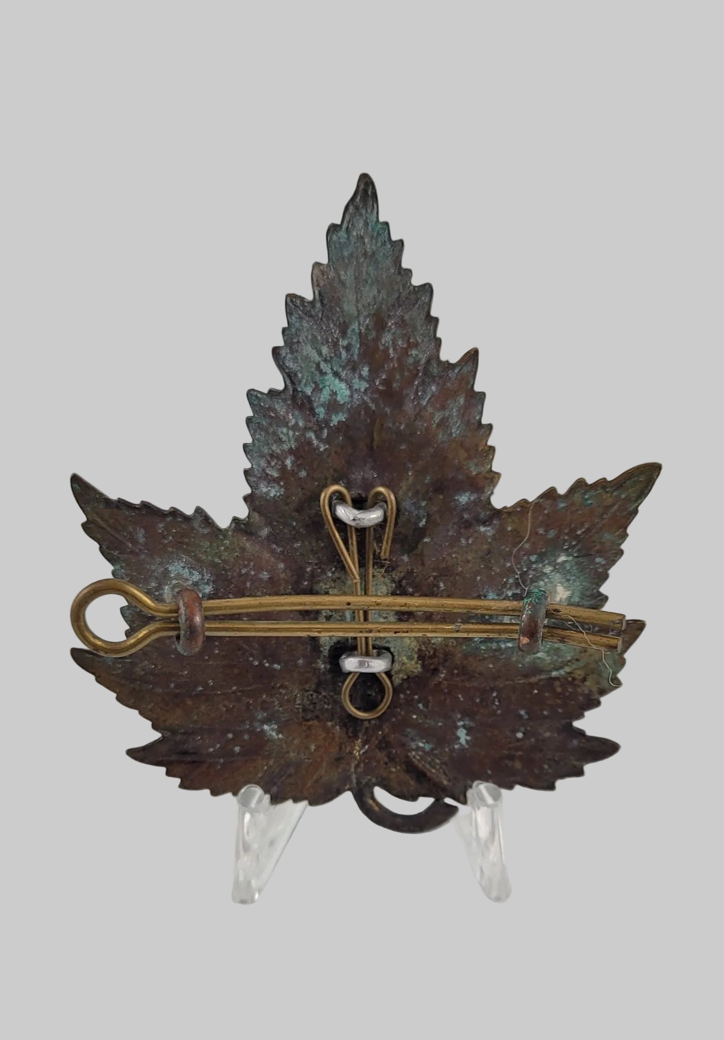 Canadian Police Beaver Badge obverse