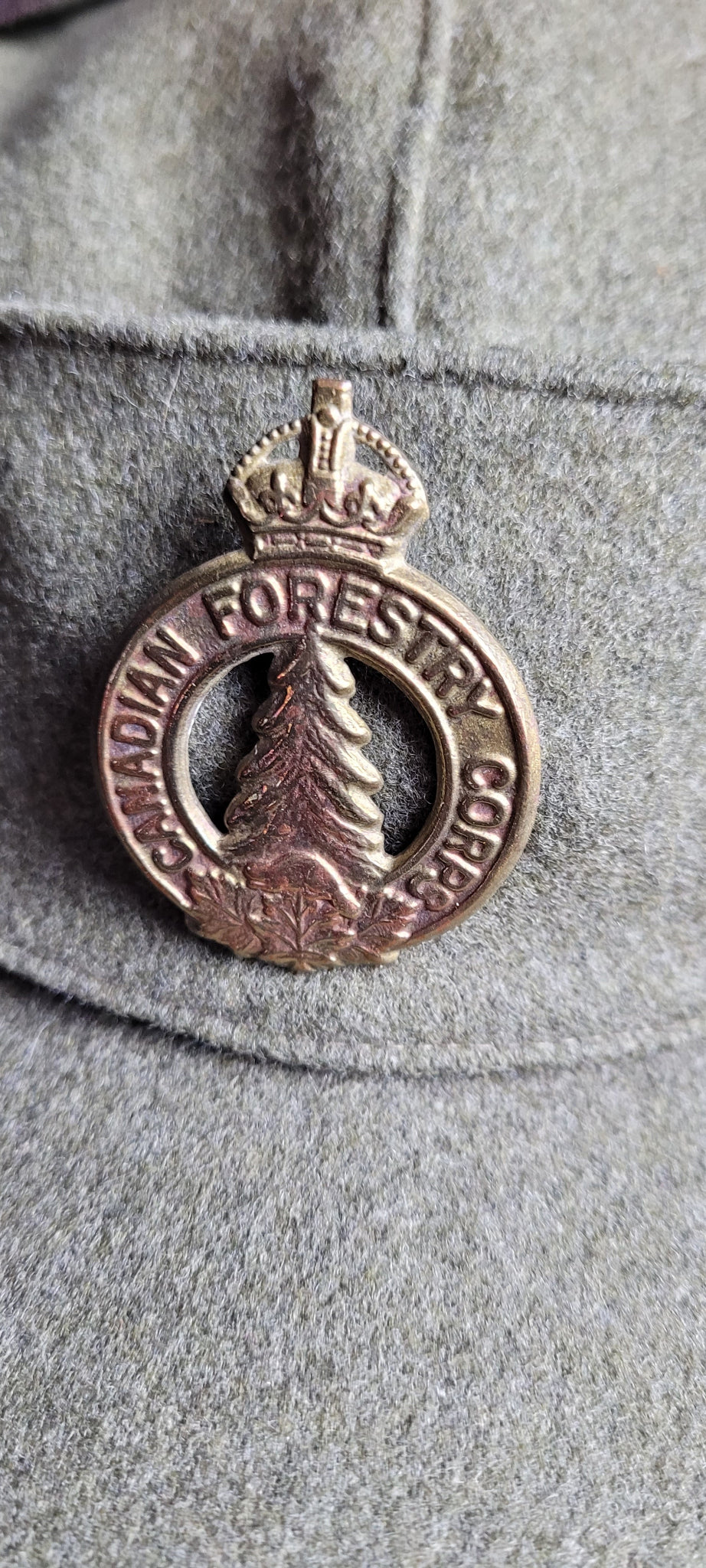 Canadian winter cap 2