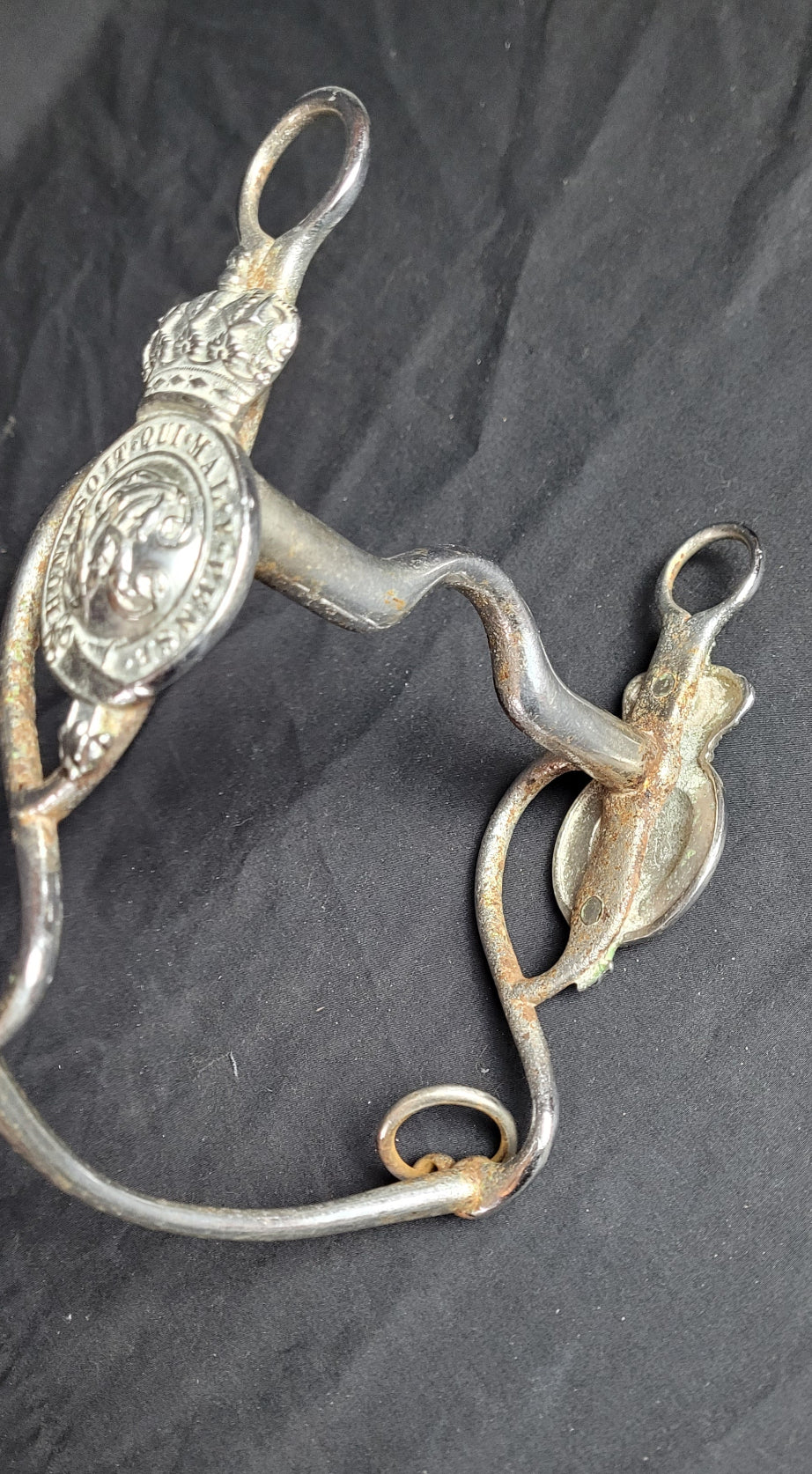 Victorian military horse bit with martingales3